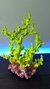 Coral Galhardo Fluorescente Grande - loja online