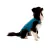 Roupa Cirúrgica, Pós-Cirurgia, Pós-Operatório, para Cães, Auxilia na Recuperação, Segura, Macia e Confortável - comprar online