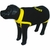 Roupa Segurança para Cães