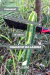BLADE MAX - O FACÃO DO AGROFLORESTEIRO - Q vida Boa