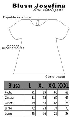 BLUSA Josefina Blanca en internet