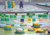 Algae, Inc. - comprar online