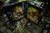 Brass: Lancashire – Deluxe Edition - comprar online