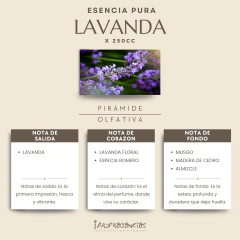Esencia Pura «Lavanda» x250cc. - comprar online
