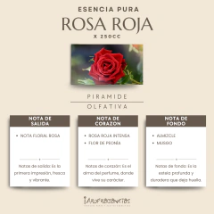 Esencia Pura «Rosa Roja» x250cc. - comprar online