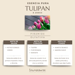 Esencia Pura «Tulipán» x250cc. - comprar online