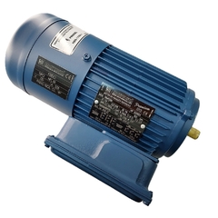Motofreio Trifásico 0,33CV 4P B34D 2/3 F220 VMF63B4 - comprar online