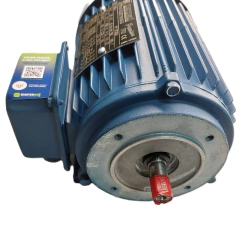 Motor Elétrico Trifásico 0,25 CV 4 Polos IP55 B34D 4T IR3 - comprar online