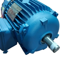 Motor Elétrico Trifásico 4 CV 2 Polos IP55 B3D 4T IR3 - Eletrotécnica Vera Cruz