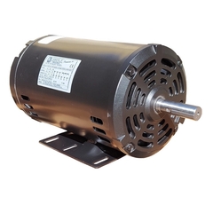 Motor Elétrico Trifásico 2 CV 2 Polos Nema IP21 2T IR3