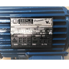 Motor Elétrico Trifásico 0,33 CV 4 Pólos IP55 B3D 2T IR3 na internet