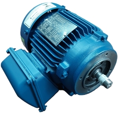 Motor Elétrico Trifásico 0,50 CV 4 Polos IP55 B34D 4T IR3