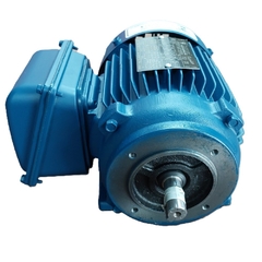 Motor Elétrico Trifásico 0,50 CV 4 Polos IP55 B34D 4T IR3 - Eletrotécnica Vera Cruz