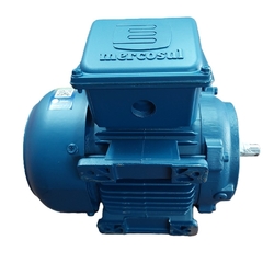 Motor Elétrico Trifásico 0,50 CV 4 Polos IP55 B34D 4T IR3 - loja online