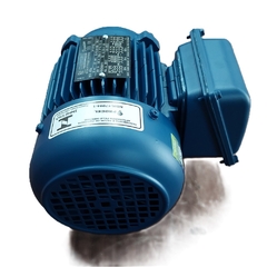 Motor Elétrico Trifásico 0,50 CV 4 Polos IP55 B34D 4T IR3
