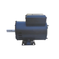 Motor Elétrico Monofásico 1 CV 4 Polos IP21 110/220V B3VT - comprar online