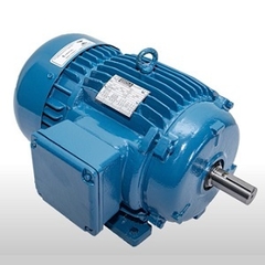 Motor Elétrico Trifásico 0,25 CV 4 Pólos IP55 B3D IR3