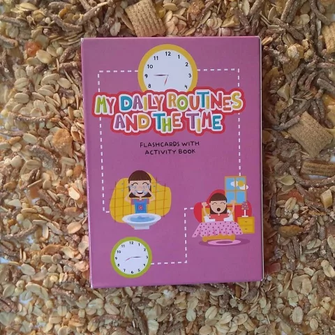 Cartas para aprender inglés - My daily routine and the time