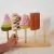 Helados de madera - comprar online