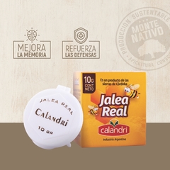 JALEA REAL