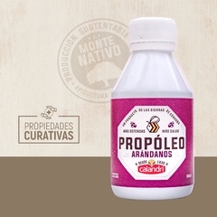 Propóleo con Arándanos