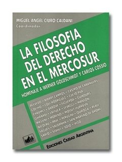 La filosofía del derecho en el Mercosur