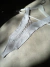 BODYSUIT NY STRASS LACE UP IMPORTADO on internet