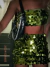 SET DISCO GREEN IMPORTADO (BANDEAU + SKIRT) en internet