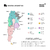 Esquinero Liona | 18 posiciones
