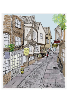 Ilustraciones y Cuadros - CIUDAD DE YORK