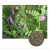 Imagem do ZION FARM - MIX DE SEMENTES - PLANTAS COMPANHEIRAS - 1KG