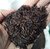 CASCA DE ARROZ CARBONIZADA - 10 LITROS na internet