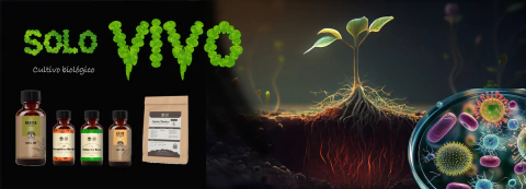 Imagem do banner rotativo 1