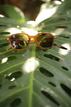 Imagen de Anteojos gafas de sol - DALILA