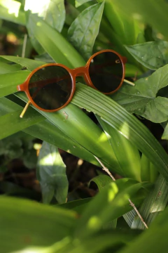 Anteojos gafas de sol - AMAIA - tienda online