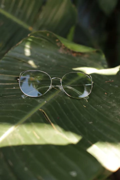 Anteojos gafas de sol - GRETA - tienda online