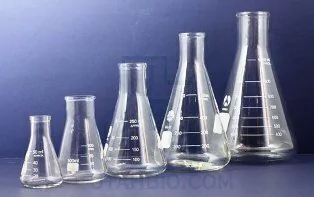 ERLENMEYER DE VIDRIO GRADUADO SIN TAPA CON BOCA STANDARD 200ML BGIF