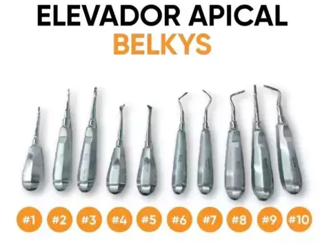 Elevadores apicales juego x 10 unidades (medidas surtidas) BELKYS