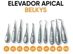 Elevador Apical Acero Inoxidable acodado BELKYS