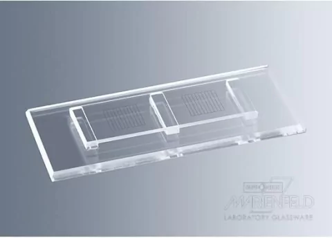 CAMARAS MACMASTER CON 2 CAMPOS ALEMANAS