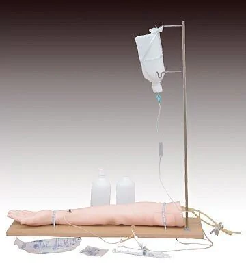 BRAZO P/ PRACTICAS DE PUNCION VENOSA XC-434 IMPORTADO