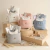 Mini Kit Paseo