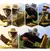 Red Antimosquitos Para Cabeza Gorro Mosquitero Niños Adultos - MegaCuper por Mayor 