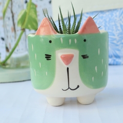 Maceta gatito con patas¹