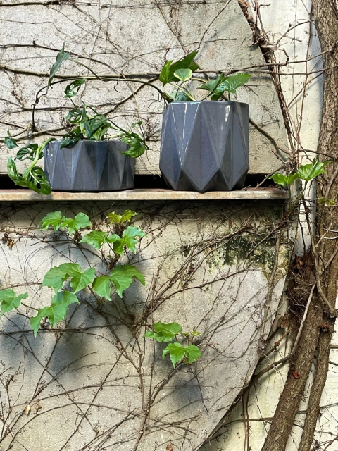 MACETA ORIGAMI PARED GRANDE - CURADORAS
