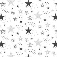 Modelo ELD.NOR.33 estrellas en internet