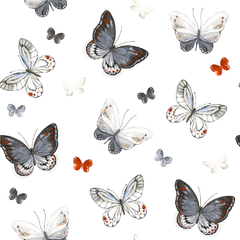 Modelo EW.ANI.04 Mariposas - comprar online