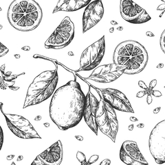 Modelo EW.CO.20 my lemon tree - comprar online