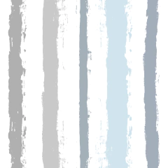 Modelo EW.RAY.15 - buy online