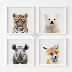 Laminas L25 Caras de Animales Polar-rino-tigre-zorro - comprar online